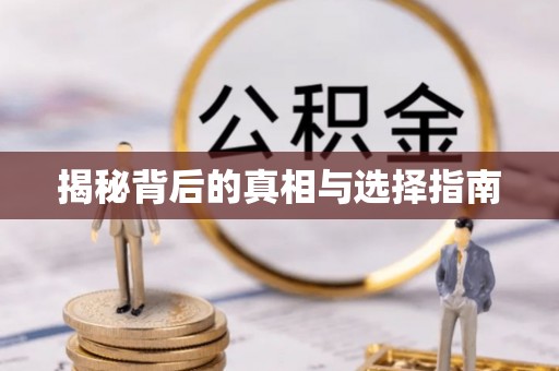 嘉禾揭秘背后的真相与选择指南
