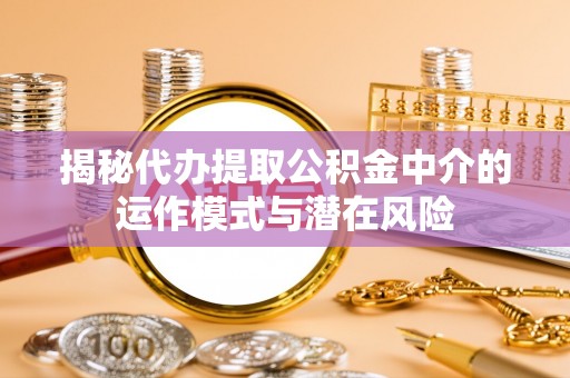 嘉禾揭秘代办提取公积金中介的运作模式与潜在风险