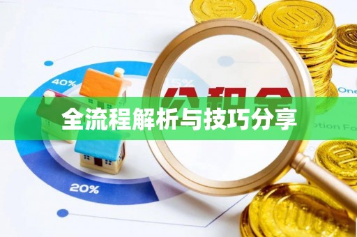 嘉禾全流程解析与技巧分享