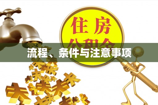 嘉禾流程、条件与注意事项