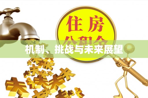 嘉禾机制、挑战与未来展望